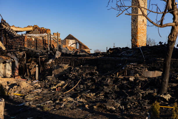 Reliable Fire Damage Removal contractor in Willow Grove, TX by Fire Damage Flint